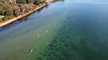 Brownsea Bliss