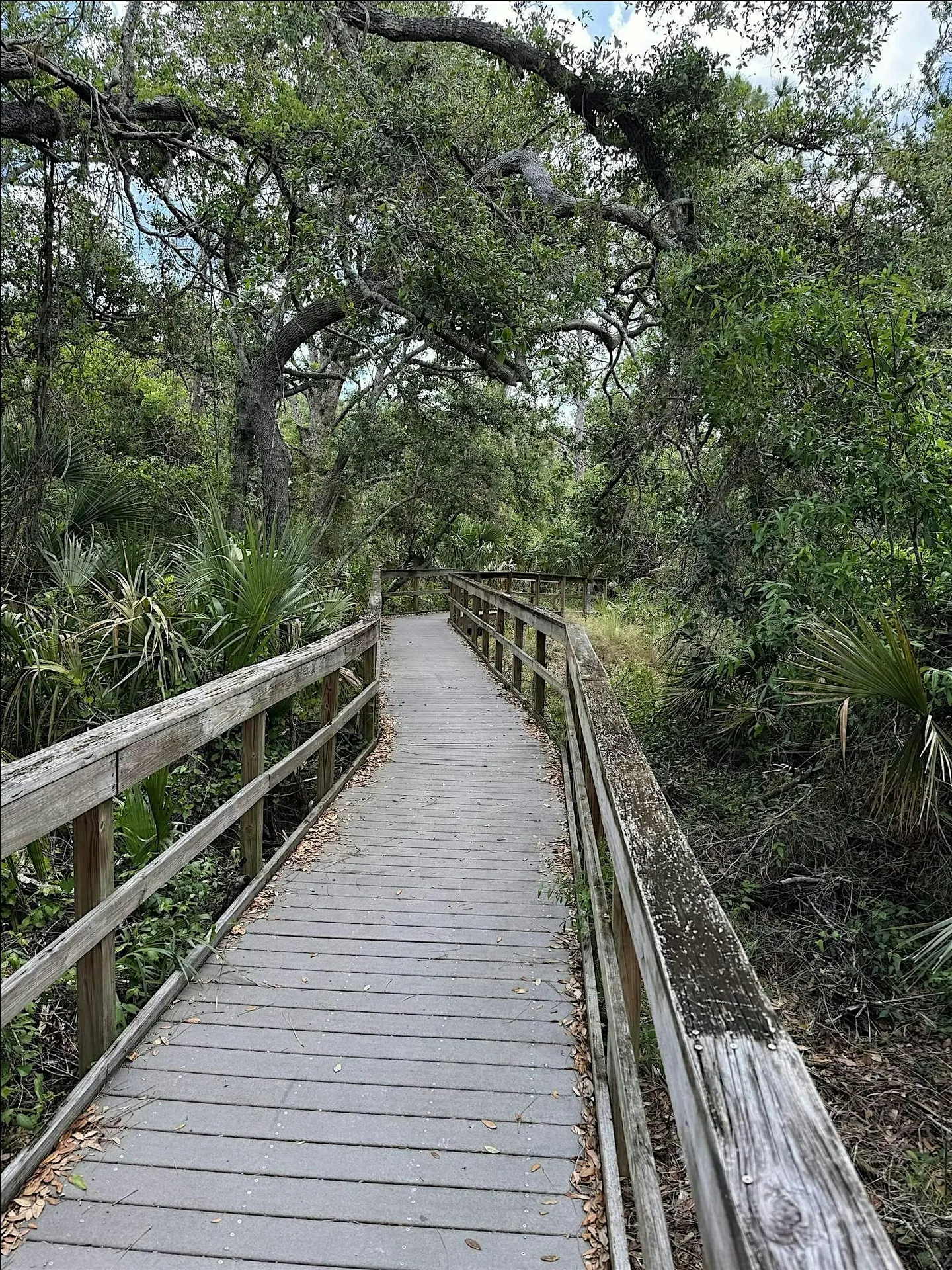 EcoWalk: Unique Preserves - Manasota Scrub Preserve