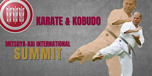 Mitsuya-Kai International SUMMIT 2026