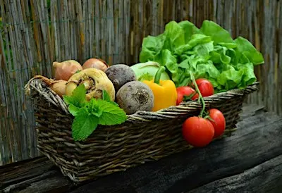 People Supported Agriculture - Farm Share Box
