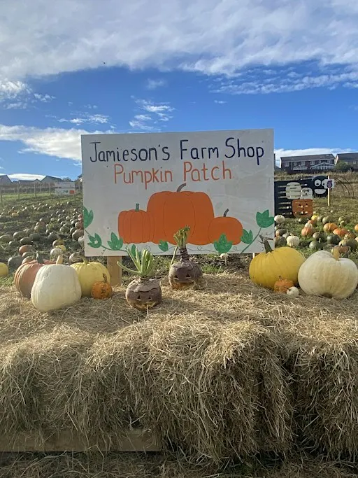 Jamieson's Farm Shop Pumpkin Patch 2026
