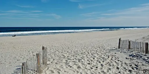 Volunteers Needed for Beach Cleanup at 7-Presidents Oceanfront Park