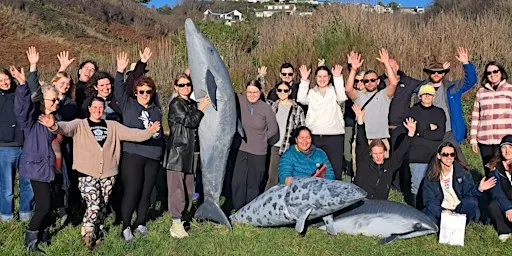 South Devon Marine Strandings Network Volunteer Training Day