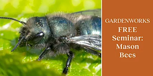 FREE Seminar: Mason Bees with Tom Leahy at GARDENWORKS Saanich