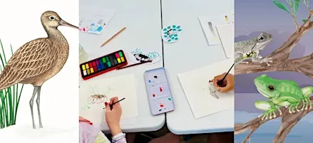 School holiday program: Junior biodiversity art workshop (6-11 years)