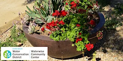 Waterwise and California Native Plant Container Gardening