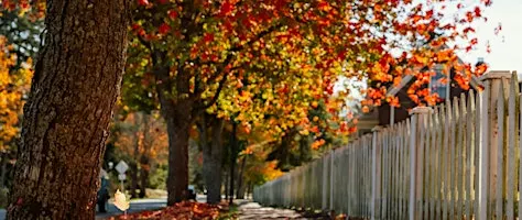 Henry's Ottawa: The Urban Landscape in Fall + Fall Photo Walk