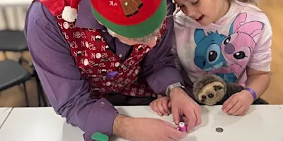 Crafty Chemistry at Christmas