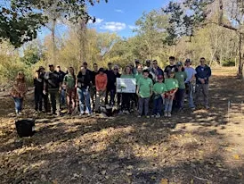 Miantonomi Park Reforestation
