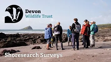 Shoresearch Volunteer Survey