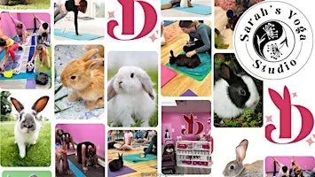 Bunny Yoga at Dolly Dream Home with Sarah's Yoga Studio