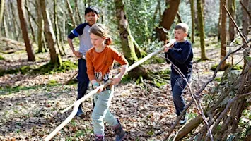 Forest School Training Level 2: Woods Mill, Henfield (1002A37045)
