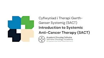 Introduction to Systemic Anti-Cancer Therapy (SACT) Course - Day 3