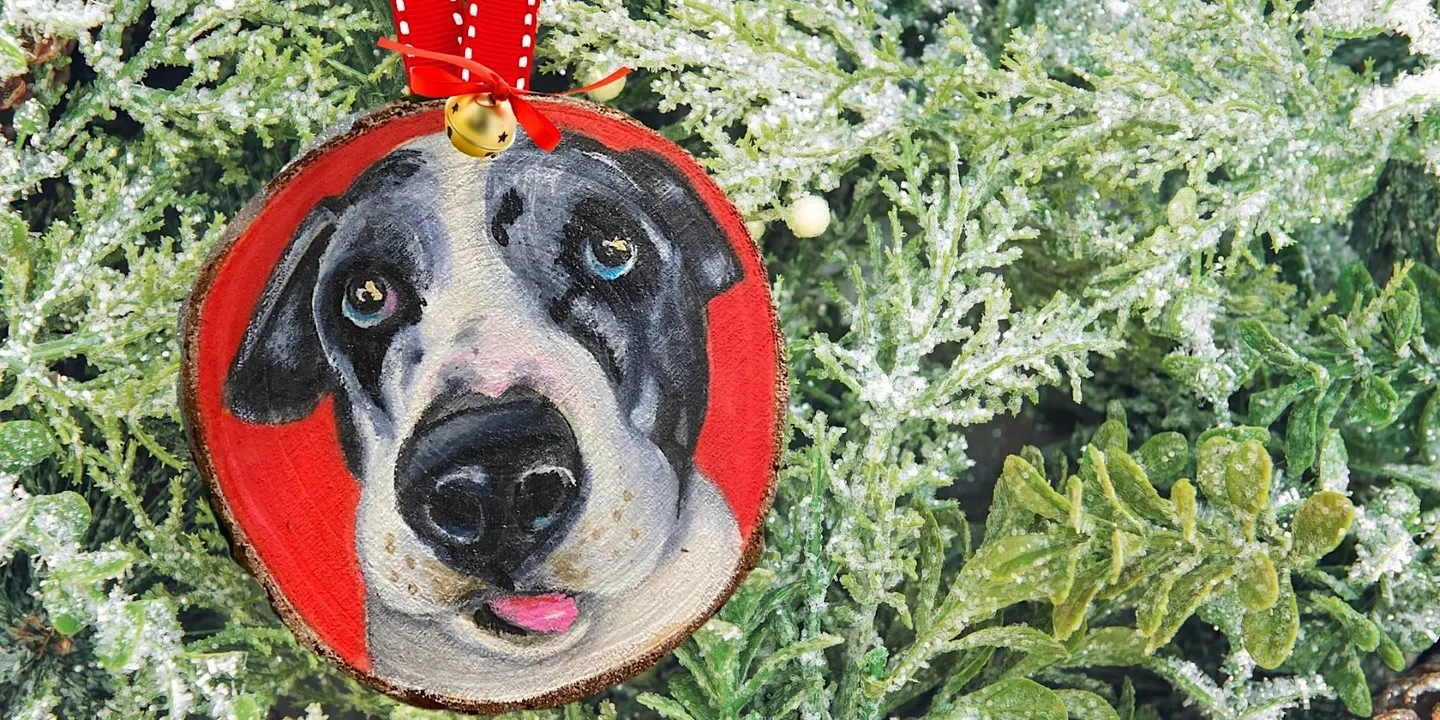 Paint Your Pet Holiday Ornament Class