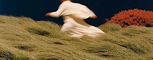 Wander & Wonder: Shamanic Journeying for Inner Wisdom
