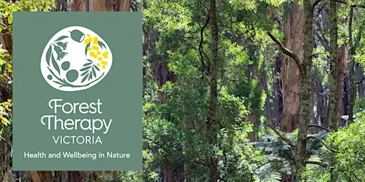 Using Forest Therapy in Your Therapeutic Practice
