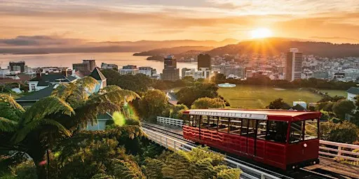 Solo travellers: casual hangout in Wellington (4pm)