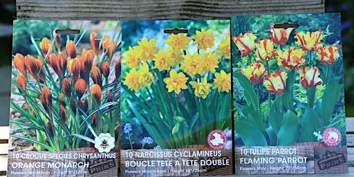 Lasagna Bulb Planting – create a container with layered bulbs
