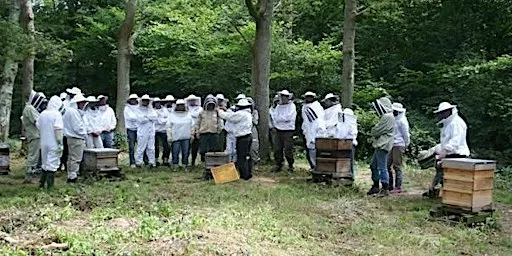 WGBKA Introduction to Beekeeping 2027