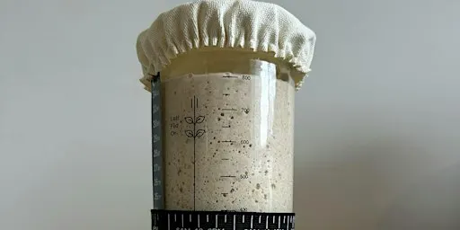 Sourdough Starter & Fermentation Fundamentals – Community Masterclass