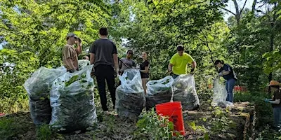 Volunteer Workday at Rambler Trust