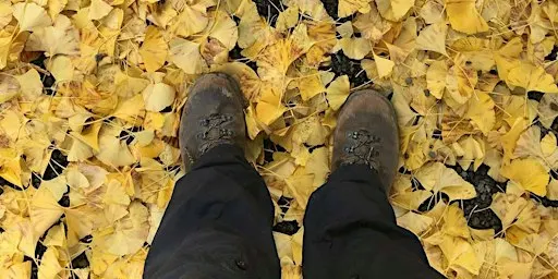 Training Walk - Sturt Gorge for Snowies Alpine Adventure