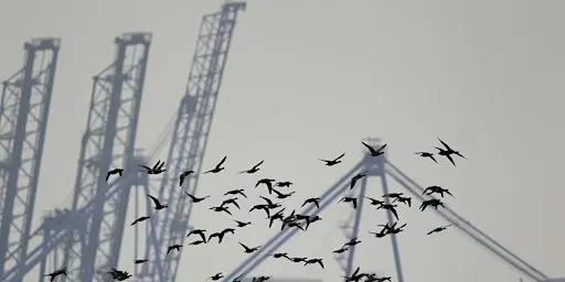 Wild Skills: Wildlife Photography at Trimley Marshes (ECC 2806)