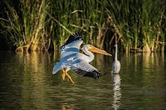 Master Your Camera Controls and Composition in the Field - Photo Workshops