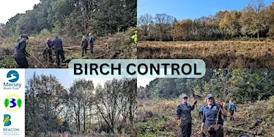 Coppicing and dead Hedging at Lindow Common