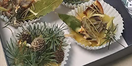 Make your own sustainable gifts workshop