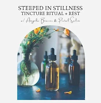 Steeped in Stillness Tea Ritual + Rest
