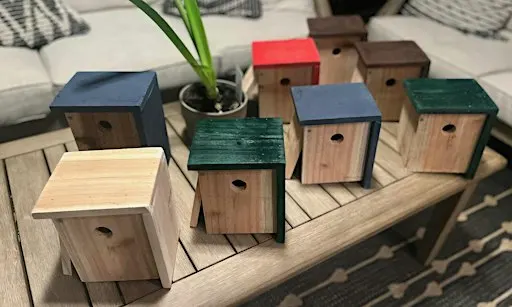 Kids' Woodworking Project: Build a Birdhouse