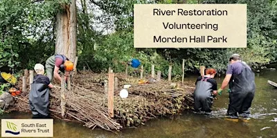 River Restoration Volunteering at Morden Hall Park - River Wandle