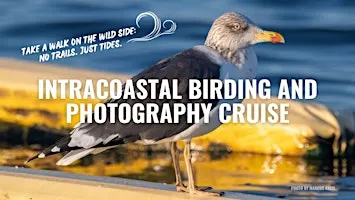 Intracoastal Birding and Photography Cruise