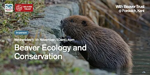 Beaver Ecology and Conservation (in-person)