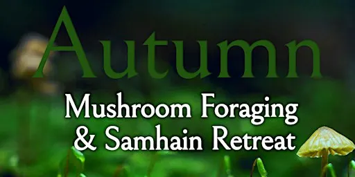 Autumnal Mushroom Foraging Samhain Retreat