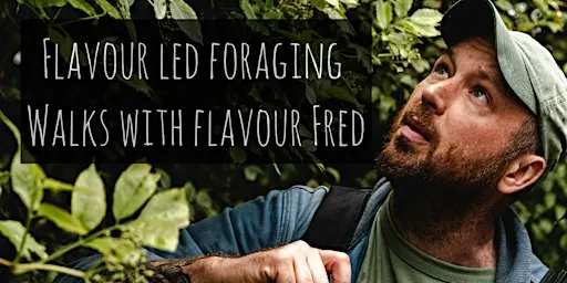 Flavour-Led Foraging Walk, Plants, Fungi, History & Folklore -FUNGI FOCUSED