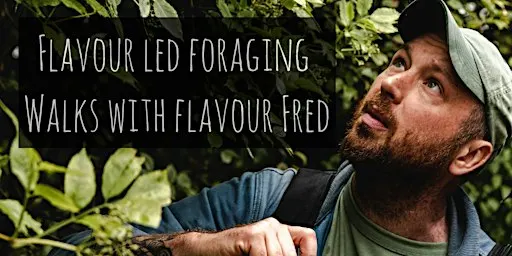 Flavour-Led Foraging Walk, History & Folklore - FUNGI FOCUSED