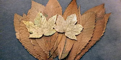 Singing Roots: Saplings Circle