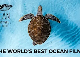 Ocean Film Festival - Cambridge - 26 November 2026