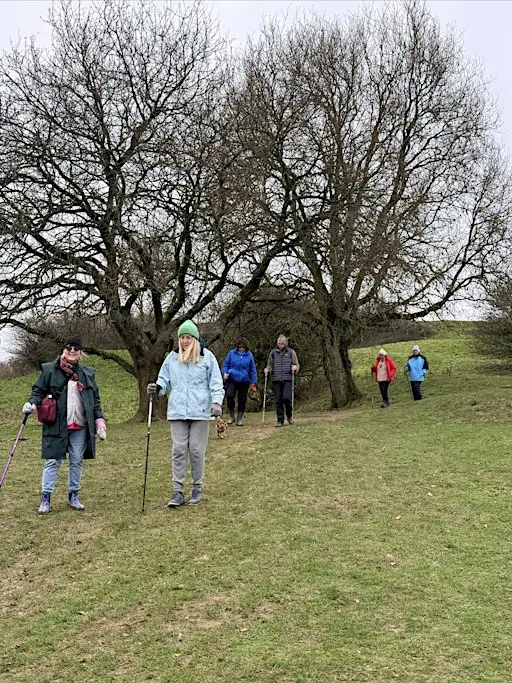 Green Walks (14/11) - Chosen Hill (Challenging)
