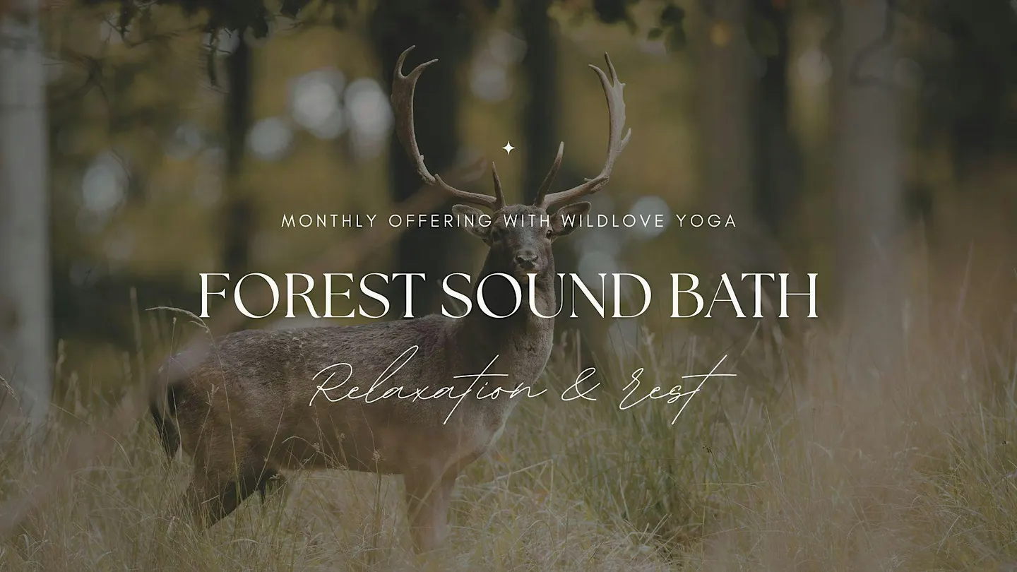 Forest Sound Bath in the Wyre Forest
