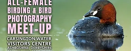 All-Female Birding & Bird Photography Morning