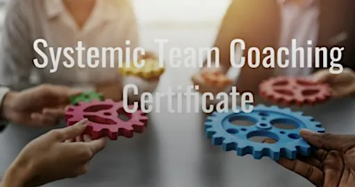 Systemic Team Coaching Certificate (STCC) Practitioner