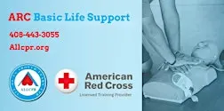 Red Cross Basic Life Support class in Greensboro