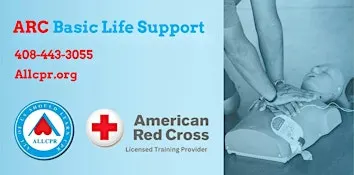 Red Cross Basic Life Support class in Kailua