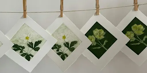 Introduction to Collagraph Printing