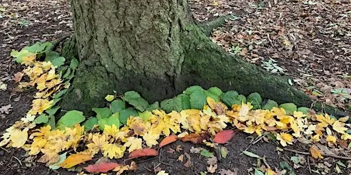 FSA Suffolk Autumn Networking: Neurodiversity at Forest School