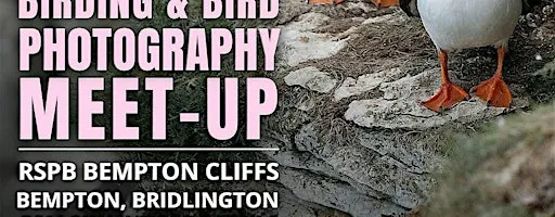 All-female Birding & Bird Photography Meet-Up