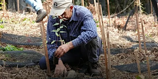 NaturallyGC: Austinville Landcare - Tree Planting